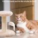 Premium Cat Tree with Plush Seats & Sisal Scratch Column | Climbing Furniture for Cats | International Shipping Available - Buy Online on GoSupps.com
