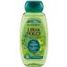 Garnier Ultra Dolce Shampoo 5 piante - Buy Online on GoSupps.com