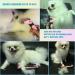 Hesiry Pets Dogs & Cats Grooming Brush for De-Shedding with Self Cleaning Remove Pets Shedding for Short and Long Hair(Medium) - Buy Online on GoSupps.com