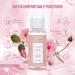 Lunamoon Eyelash Shampoo Concentrate 80ml | Clean & Nourish Your Lash Extensions | Includes 120ml Bottles & 4 Cleaning Brushes - Rose80 - Buy Online on GoSupps.com