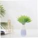 Zerodeko Plastic Plants 4pcs Simulated Leaves Lovage Plant in Green Decorations Artificial Plant Twigs for Vases Faux Plants Pot Artificial Eucalyptus Vases Home Decor Wedding Plastic Fern Green 15X15X35CM - Buy Online on GoSupps.com