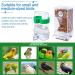 Hamiledyi No Mess Bird Feeder & Drinker Set - Automatic Parrot Feeder & Water Dispenser for Lovebirds, Budgies, Canary, Finch - Acrylic Seed Food Container - Cage Accessories - Transparent Design - Buy Online on GoSupps.com