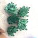 Room Decoration Natural Crystals and Stones Beautiful Natural Green Ghost Phantom Quartz Crystal Cluster Raw Ore Crystals Specimen Home Decor for Decoration (Size : 500-600g) - Buy Online on GoSupps.com
