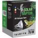 Buy SOLAR RAPTOR UV Halogen Spot 75W - Reptile Heat Lamp & Daylight Spectrum Terrarium Light - Buy Online on GoSupps.com