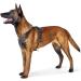 HUNTER Aalborg Leather Dog Harness - Size SM/2 - Black | Premium International Shipping - Buy Online on GoSupps.com