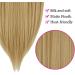 OMGREAT Dirty Blonde Halo Hair Extensions 22 Inch - Heat Resistant Synthetic Hairpieces for Women - No Clip Hidden Wire Headband - Straight Long Hair - #2 Dirty Blonde - 4.4 Oz - Buy Online on GoSupps.com
