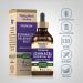 Piping Rock Echinacea Goldenseal Tincture | 4 Fl Oz Liquid Drops | Alcohol Free Herbal Extract | Vegetarian Non-GMO Gluten Free Supplement - Buy Online on GoSupps.com