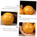 Healeeved 2st Health Ball - Seewide Body Massage Lacrosse Balls for Hands | Natural Baoding Balls & Yoga Fascia Relief - Buy Online on GoSupps.com