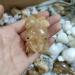 Specimen 1pc 50mm Natural Orange Calcite Stones and Crystals Carved Rock Crystal Frog StatueStone Stone Crystal Reiki