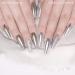 Daily Charme Silver Chrome Nail Powder - 2g | Mirror Finish - Buy Online on GoSupps.com
