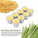 SUPERSUN 8 Citronella Candles Outdoor: 80-120 Hours Garden Citronella Candles Set Soy Wax Scented Candles for Outdoor Indoor Camping Outside Garden Silver - Buy Online on GoSupps.com