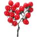 Abaodam 5pcs String Simulated Cherry Tomatoes Fake Cherries Lifelike Mini Tomatoes Fake Grapes Faux Cypress Garland Plastic Fruit Decor Mini Artificial Fruit Child Plant Fake Food Pvc Redx5pcs 18X16CMx5pcs - Buy Online on GoSupps.com