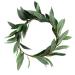 Beaupretty Green Leaf Headband Artificial Green Leaf Crown Eucalyptus Flower Wreath Floral Headband for Women Girls Bridal Bohemian Headpiece Photo Prop