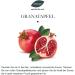 Saunabedarf Schneider Pomegranate Infusion Concentrate - Fine Sweet Sauna Essence - 1000ml - Buy Online on GoSupps.com