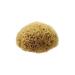 Hydrea London Natural Sea Sponge 4 - 4.5"- Premium Mediterranean Honeycomb Unbleached Natural Sponge for Adults Women Men Children and Baby