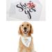 Emsea Dog Haller 'She Said Yes' - Triangle Accessory for Medium & Large Dogs | Perfect for Photos Parties & Weddings - Buy Online on GoSupps.com