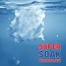 S.ur.f E.xc.el Quick Wash Laundry Detergent Super Soak Technology 1 kg - Buy Online on GoSupps.com
