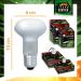 Terra Exotica 60W Heat Spot Lamp for Reptiles - 3-Pack Terrarium Lighting | 25W 40W 75W 100W 150W Options Available - Buy Online on GoSupps.com