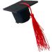 Graduation Hat Insert - 3D Doctoral Hat | Graduation Hat Hairpins Hat Inserts Graduation Accessories for Women Men Red - Buy Online on GoSupps.com