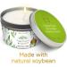 Buy MAGNIFICENT 101 Pure White Sage Candle - Energy Cleansing Smudge Candle for Home | Natural Soy Wax | Banish Negative Energy | International Shipping - Buy Online on GoSupps.com