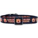 Officially Licensed Auburn Tigers Small Collar and Leash Set - Adjustable for All Pets - Buy Online on GoSupps.com