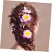 Didiseaon Summer Hair Clips Flower Hairpin Hawaiian Hair Flower Clip Plumeria Hair Clips for Girls Girl Hair Clips Hair Pin Plumeria Hairpin for Girl Accessories Hibiscus Flower - Buy Online on GoSupps.com