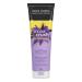 John Frieda Violet Crush Purple Conditioner for Brass Repair of Natural Colour-Treated and Bleached Blonde Hair | Neutralizes Brassiness and Yellow tones | Cool tone blonde | Purple Pigments (250 mL) 250 ml (Pack of 1) Conditioner