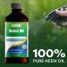Best Naturals 100% Pure Neem Oil 100% Cold Pressed and Unrefined - 16 OZ (2 Bottles) - Buy Online on GoSupps.com