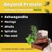 Voll Pro Protein Bars - High Protein 21g with Ashwagandha & Moringa | No Added Sugar | 6-Pack - Buy Online on GoSupps.com