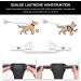 Shop POPOT No Pull Dog Harness - Front Reflective Pet Vest for Training & Walking - Black Large - Buy Online on GoSupps.com