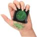 Beavorty Sparkle Eyeshadow Eyeshadow Stickers Eye Shadow Sequins Stage Show Eye Makeup Glitter DIY Shiny Eyeshadow Plate Eye Glitter - Buy Online on GoSupps.com