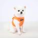 Puppia Dog Harness Vest - High Quality & Comfortable Neon Colors | Puppy Harness - Orange Size M - Buy Online on GoSupps.com