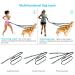 PHILORN Hands-free triple Dog Lead Splitter - Adjustable Detachable - Shock Absorbing Bungee Leads No Tangle Lead for Walking 3 Dogs (Blue) - Buy Online on GoSupps.com