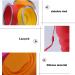 4 Pack Silicone Collapsible Travel Cup Set with Lid - Reusable Mug for Camping, Hiking & Travel - Buy Online on GoSupps.com