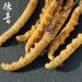 Akersunder Genuine Dried Cordyceps sinensis/winterworm summerherb Ophiocordyceps sinensis Tibet Featured (2 pcs) net Weight 1g. - Buy Online on GoSupps.com