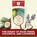 Old Spice Fresher Fiji Scent Body Wash for Men 16oz - 4 Pack - Buy Online on GoSupps.com