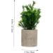 TOPBATHY False Green Plant 5 Pcs Simulated Potted Plant Pulp Potted Plants Household Fake Trees Artificial As Shownx5pcs 21.5x8cmx5pcs - Buy Online on GoSupps.com