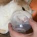 Pet Aerosol Chamber for Cats and Small Dogs | Fits Comfortably | Silicone Mask | All Pets - Buy Online on GoSupps.com