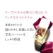 Kure Bazaar Organic Cuticle Oil 10ml - Nourish & Strengthen Nails | International Shipping Available - Buy Online on GoSupps.com