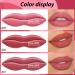 Nude Pink Mauve Brown Matte Velvet Lipstick Set - Long Lasting 24 Hours - 3Pcs Pack for Women - Buy Online on GoSupps.com