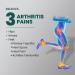 Arthritis Support Insoles for Women | Welnove Orthotic Inserts for Osteoarthritis & Plantar Fasciitis | Comfort & Pain Relief for Feet Knees & Hips (Sizes 6-10 - Buy Online on GoSupps.com