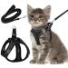 Cat lines with dishes for cats cat dishes with a leash break -out cat dishes breakout cat dishes set with leash for cats kitten dog puppies (xxs)