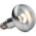Exo Terra Intensive Sun Spot Lamp 150W - Pack of 2 | High-Performance Reptile Lighting for Optimal Habitat - Buy Online on GoSupps.com