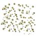 AD Beads 4300 Flat Back Nail Art Rhinestones in 6 Sizes with Storage Box & Picking Pen - Olivine Rhinestones for DIY Crafts - Buy Online on GoSupps.com