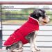 KYEESE Dog Cold Weather Coat - Cozy Padded Sherpa Jacket for Small Dogs - Red - Medium - Buy Online on GoSupps.com