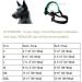 ILEPARK Adjustable Nylon Dog Muzzle - Stop Biting Barking & Chewing | XXL Green | International Shipping - Buy Online on GoSupps.com