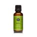 P&J Trading Fragrance Oil | Basil Oil 30ml - Candle Scents for Candle Making Freshie Scents Soap Making Supplies Diffuser Oil Scents
