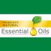 Air Wick Plug-in Scented Oil Starter Kit - Summer Delights | Essential Oils Air Freshener - International Shipping Available - Buy Online on GoSupps.com