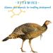 Manna Pro Gamebird Showbird Crumbles 5lb - Poultry Vitamin & Mineral Supplement - Buy Online on GoSupps.com