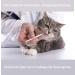 FeliMove Renal (60 ml) - Supplementary Feed for Cats | Supports Kidney Function | International Shipping Available - Buy Online on GoSupps.com